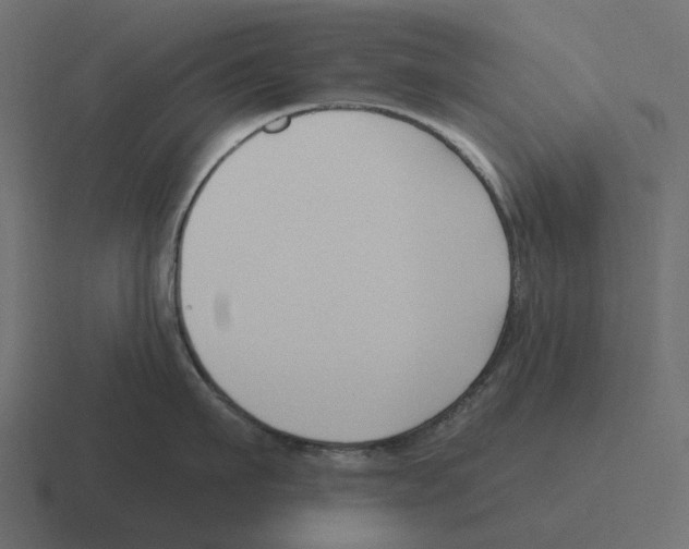 X0000116340911200912291610