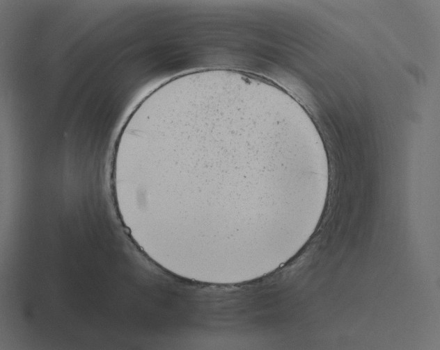 X0000116340912200912291609