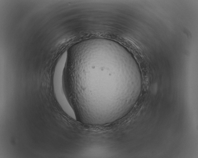 X0000116340917200912291609