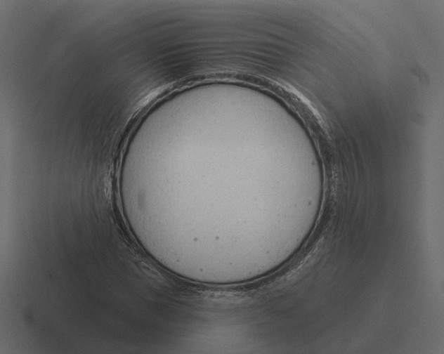 X0000116340921200912291609