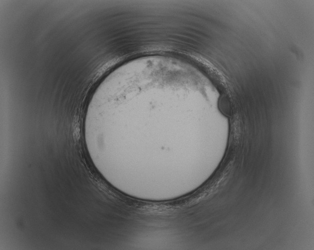 X0000116340929200912291609