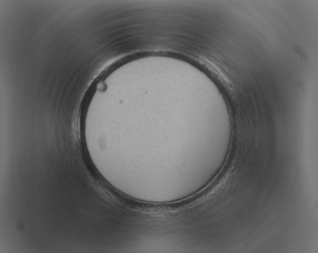 X0000116340934200912291609