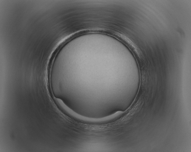 X0000116340935200912291609