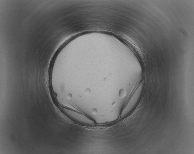 X0000116340942200912291609