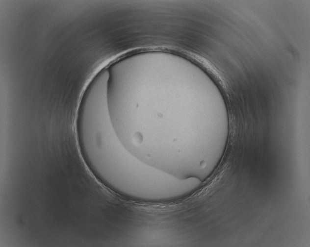 X0000116340943200912291609