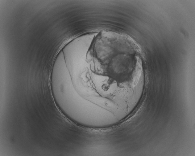 X0000116340945200912291609