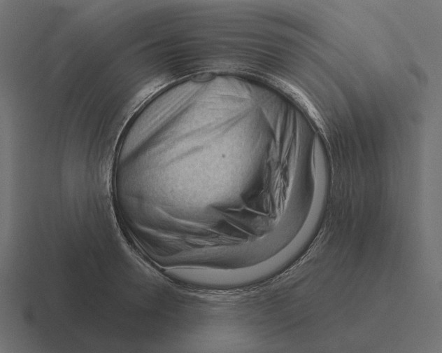 X0000116340946200912291609