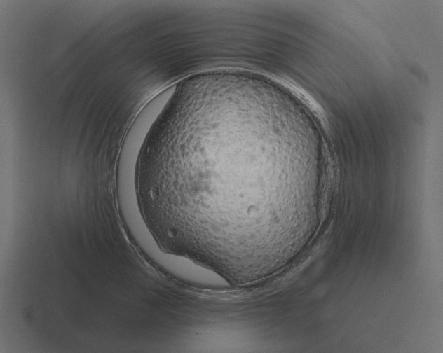 X0000116340953200912291609