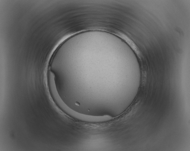 X0000116340955200912291609