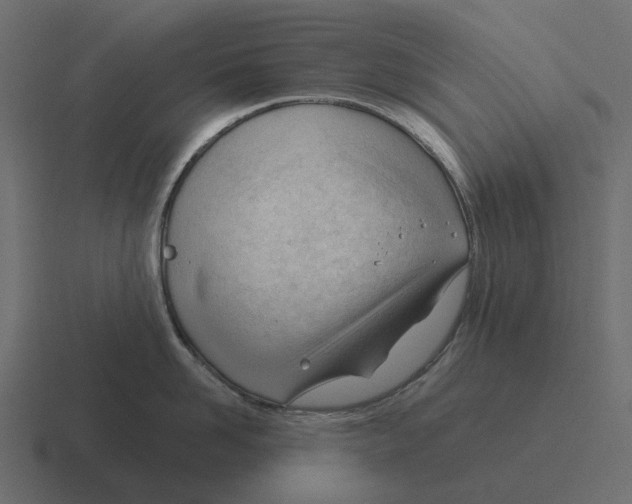 X0000116340958200912291609