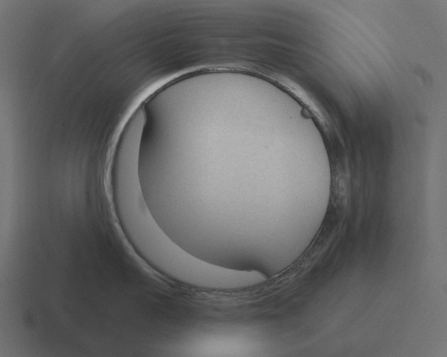 X0000116340959200912291609