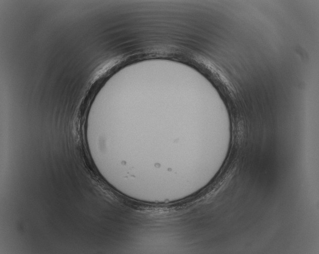 X0000116340970200912291609