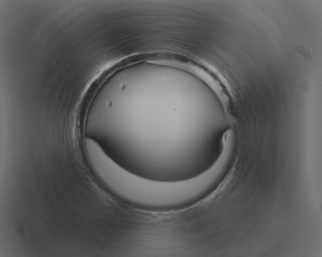 X0000116340973200912291609