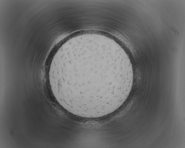 X0000116340974200912291609