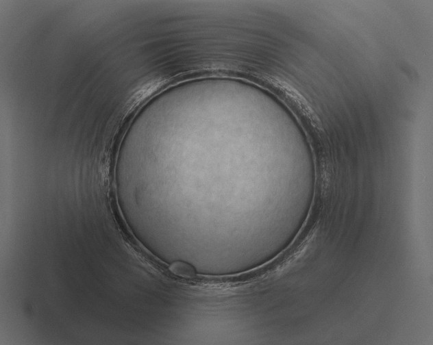 X0000116340977200912291609