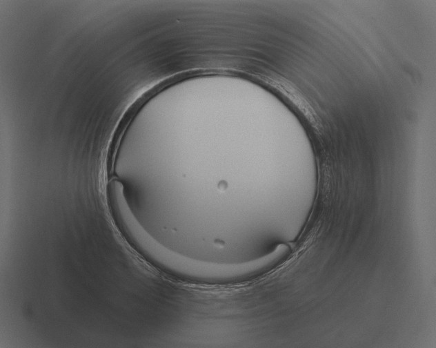 X0000116340980200912291609