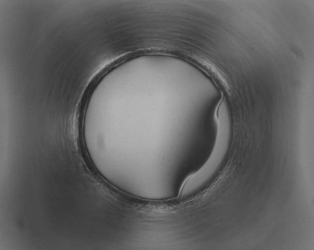 X0000116340983200912291609