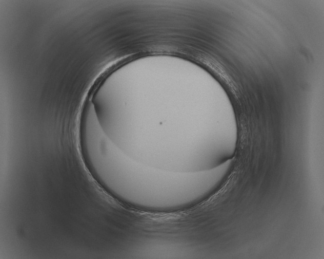 X0000116340984200912291609