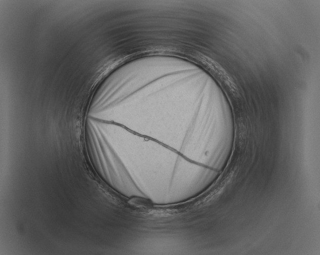 X0000116340985200912291609