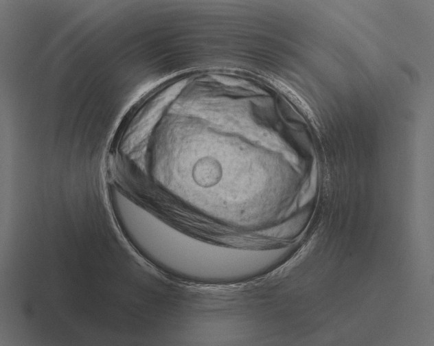 X0000116340989200912291609