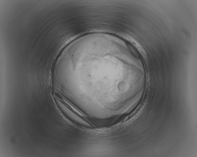 X0000116340993200912291608