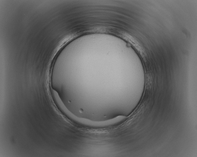 X0000116340994200912291608