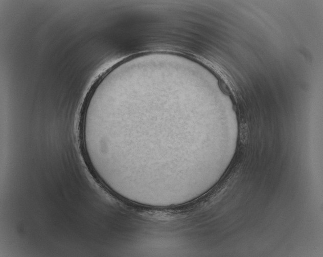 X0000116340995200912291608