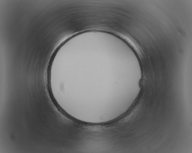 X0000116340999200912291608