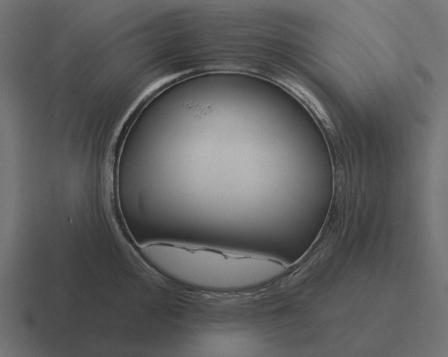 X0000116341000200912291608