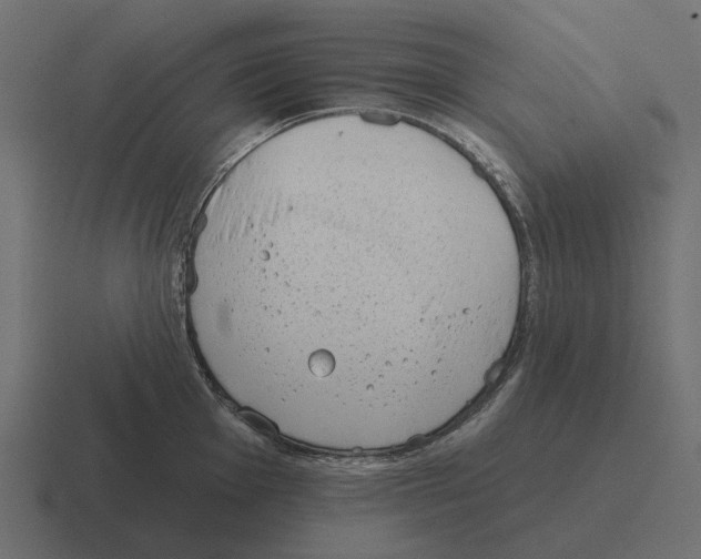 X0000116341001200912291608