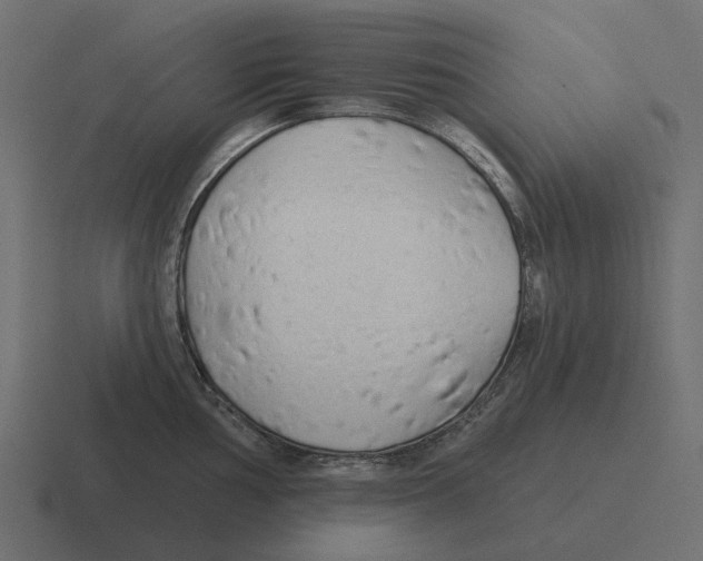 X0000116341002200912291608