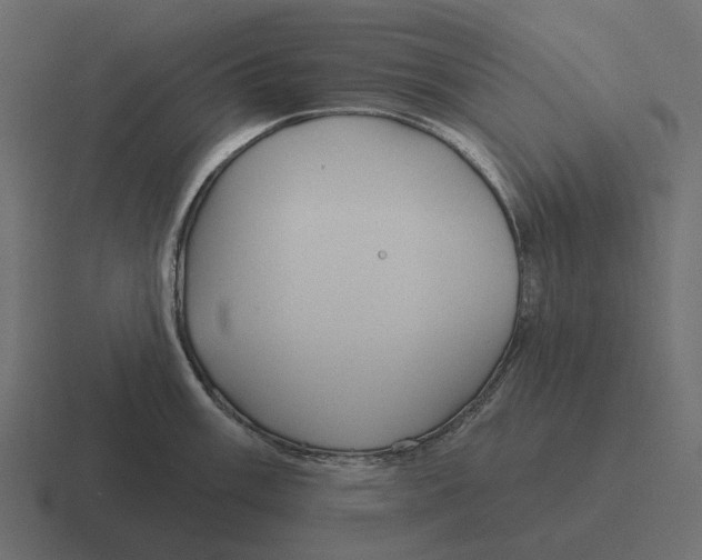 X0000116341003200912291608