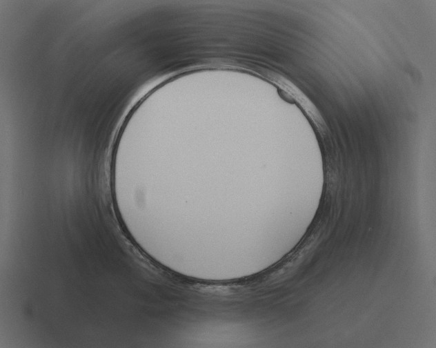 X0000116341004200912291608