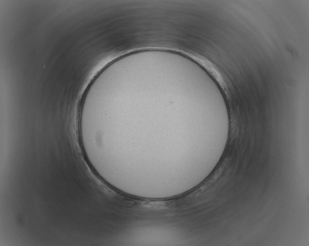 X0000116341006200912291608