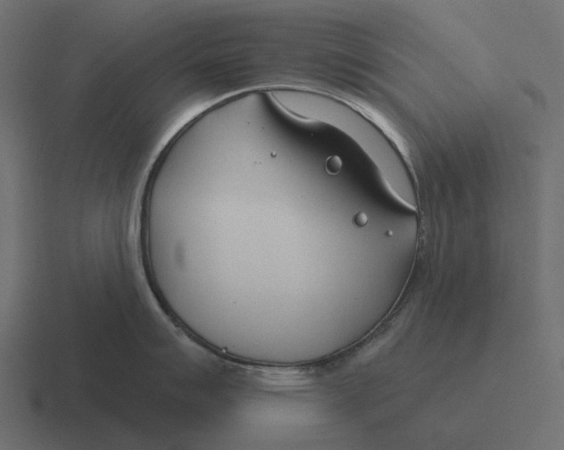 X0000116341007200912291608