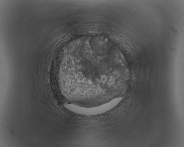 X0000116341009200912291608