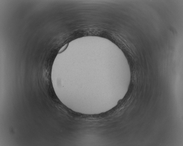 X0000116341010200912291608