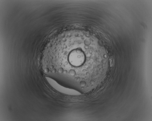 X0000116341011200912291608