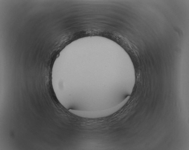 X0000116341012200912291608