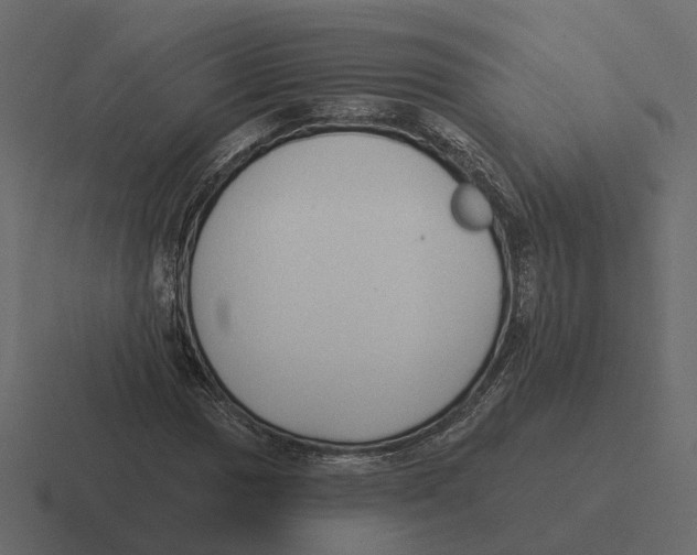 X0000116341017200912291608