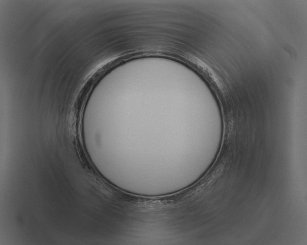 X0000116341019200912291608