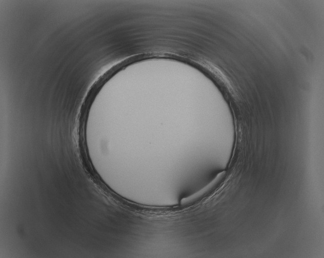 X0000116341020200912291608