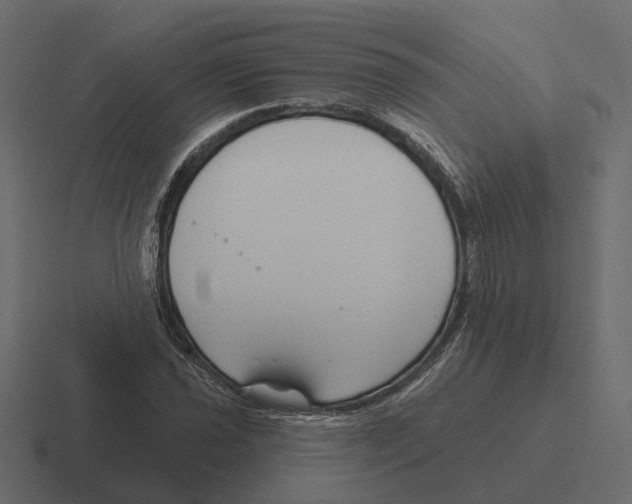 X0000116341021200912291608