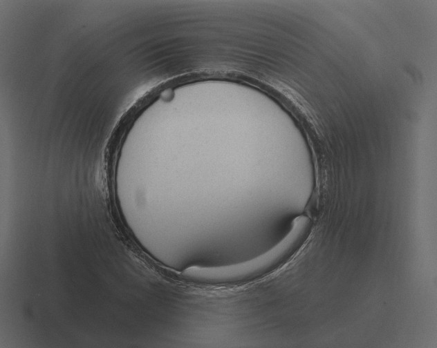 X0000116341022200912291608