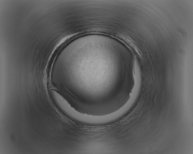 X0000116341024200912291608