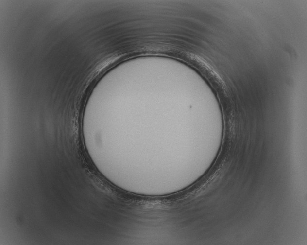 X0000116341025200912291608