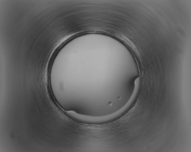 X0000116341028200912291608