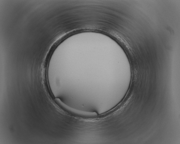 X0000116341029200912291608