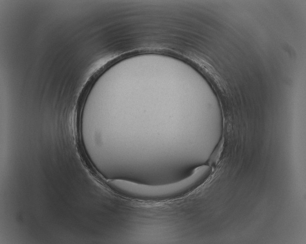 X0000116341030200912291608