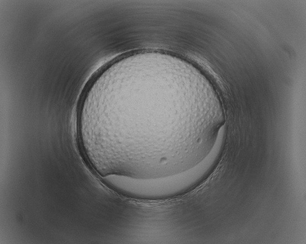 X0000116341032200912291608